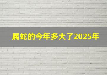 属蛇的今年多大了2025年