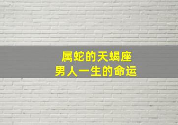 属蛇的天蝎座男人一生的命运