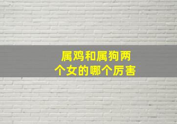 属鸡和属狗两个女的哪个厉害