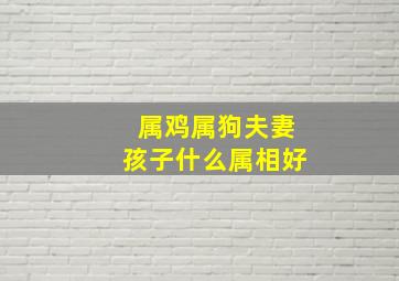 属鸡属狗夫妻孩子什么属相好