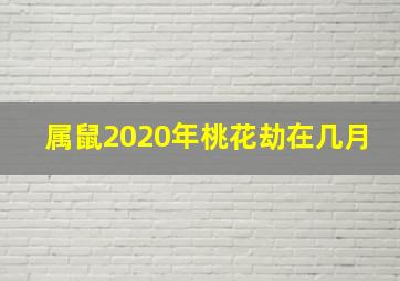 属鼠2020年桃花劫在几月