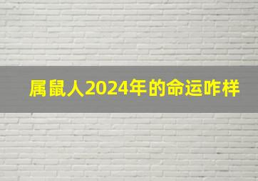 属鼠人2024年的命运咋样