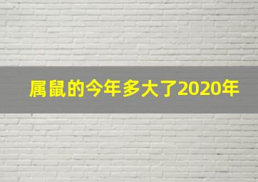 属鼠的今年多大了2020年