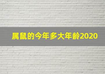 属鼠的今年多大年龄2020