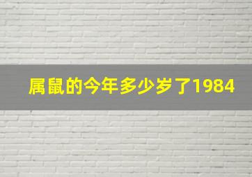 属鼠的今年多少岁了1984