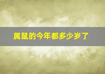 属鼠的今年都多少岁了