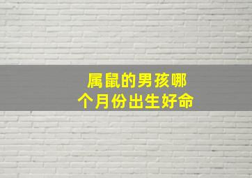 属鼠的男孩哪个月份出生好命