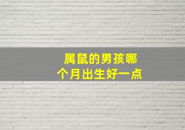 属鼠的男孩哪个月出生好一点