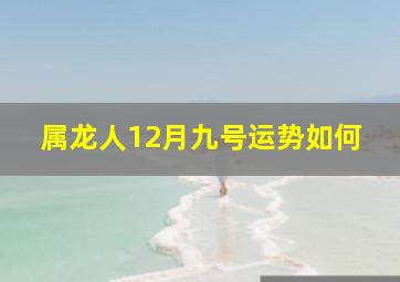 属龙人12月九号运势如何