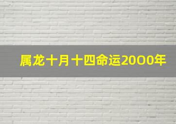 属龙十月十四命运20O0年