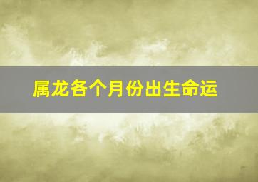 属龙各个月份出生命运