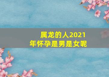 属龙的人2021年怀孕是男是女呢