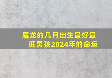 属龙的几月出生最好最旺男孩2024年的命运