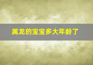 属龙的宝宝多大年龄了