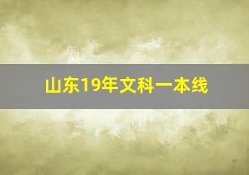 山东19年文科一本线