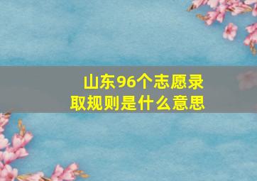 山东96个志愿录取规则是什么意思