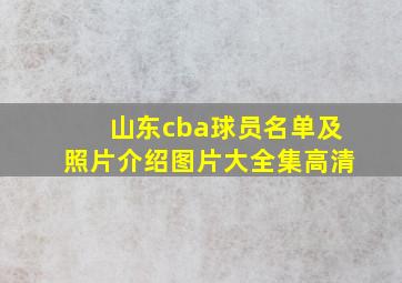 山东cba球员名单及照片介绍图片大全集高清