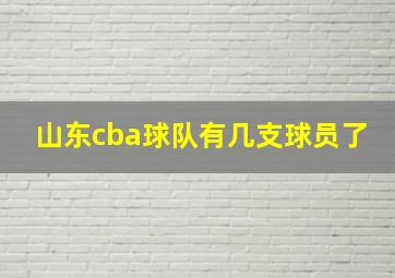 山东cba球队有几支球员了