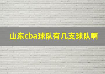 山东cba球队有几支球队啊