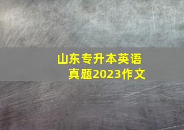 山东专升本英语真题2023作文