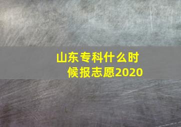 山东专科什么时候报志愿2020