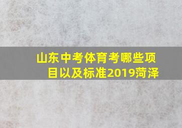 山东中考体育考哪些项目以及标准2019菏泽