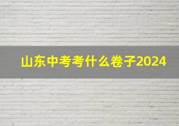 山东中考考什么卷子2024