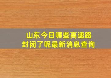 山东今日哪些高速路封闭了呢最新消息查询