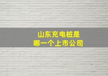 山东充电桩是哪一个上市公司