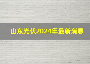 山东光伏2024年最新消息