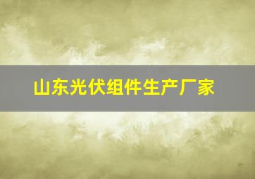 山东光伏组件生产厂家