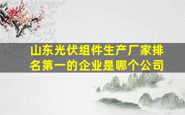 山东光伏组件生产厂家排名第一的企业是哪个公司