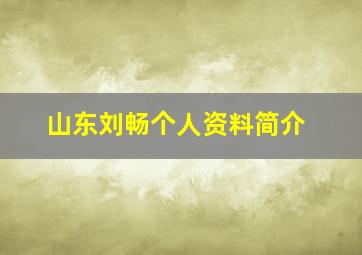 山东刘畅个人资料简介