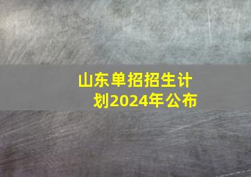 山东单招招生计划2024年公布