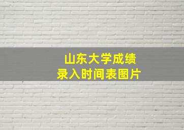 山东大学成绩录入时间表图片