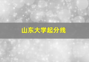 山东大学起分线