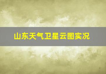 山东天气卫星云图实况