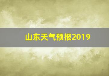 山东天气预报2019