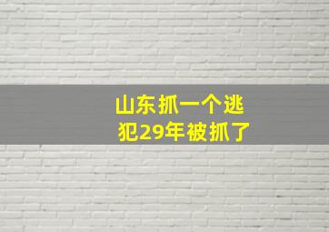 山东抓一个逃犯29年被抓了