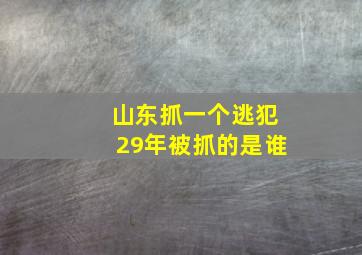 山东抓一个逃犯29年被抓的是谁