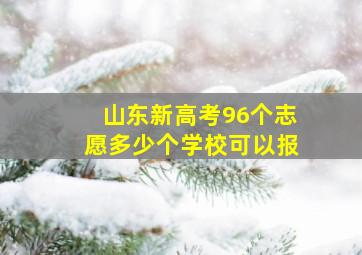 山东新高考96个志愿多少个学校可以报