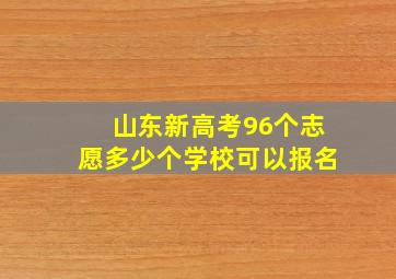 山东新高考96个志愿多少个学校可以报名