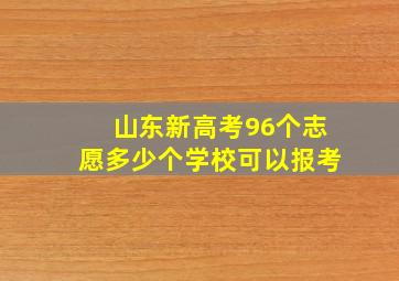 山东新高考96个志愿多少个学校可以报考