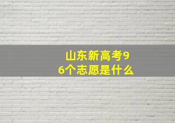 山东新高考96个志愿是什么