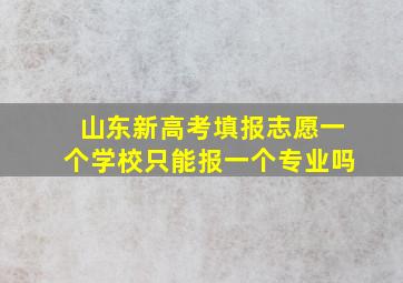 山东新高考填报志愿一个学校只能报一个专业吗