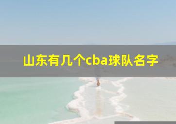 山东有几个cba球队名字