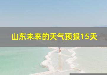 山东未来的天气预报15天