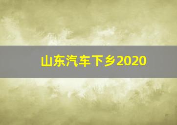 山东汽车下乡2020