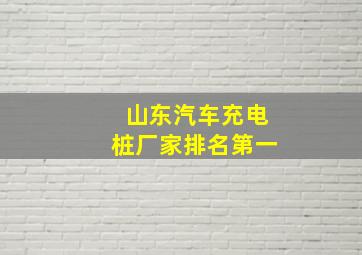 山东汽车充电桩厂家排名第一