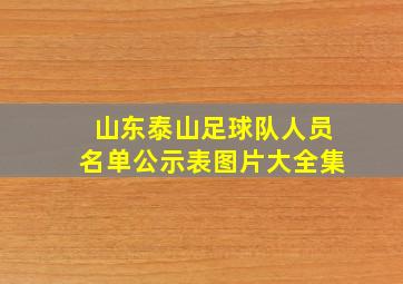 山东泰山足球队人员名单公示表图片大全集